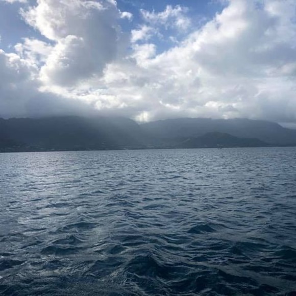 Meet your Posher, Doug - Picture 1 of 1